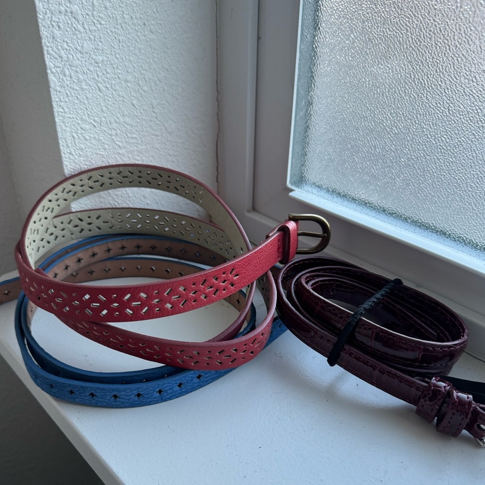 Belt Lot - Picture 4 of 4